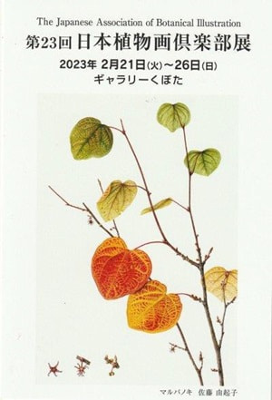 あゆみ：日本植物画倶楽部