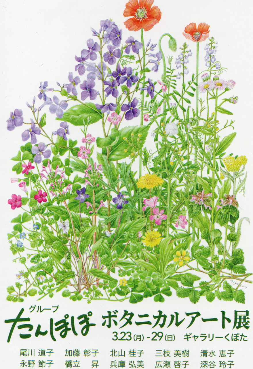 展覧会ポスターを拡大 展覧会ポスター
