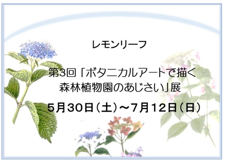 日本植物画倶楽部 展覧会案内