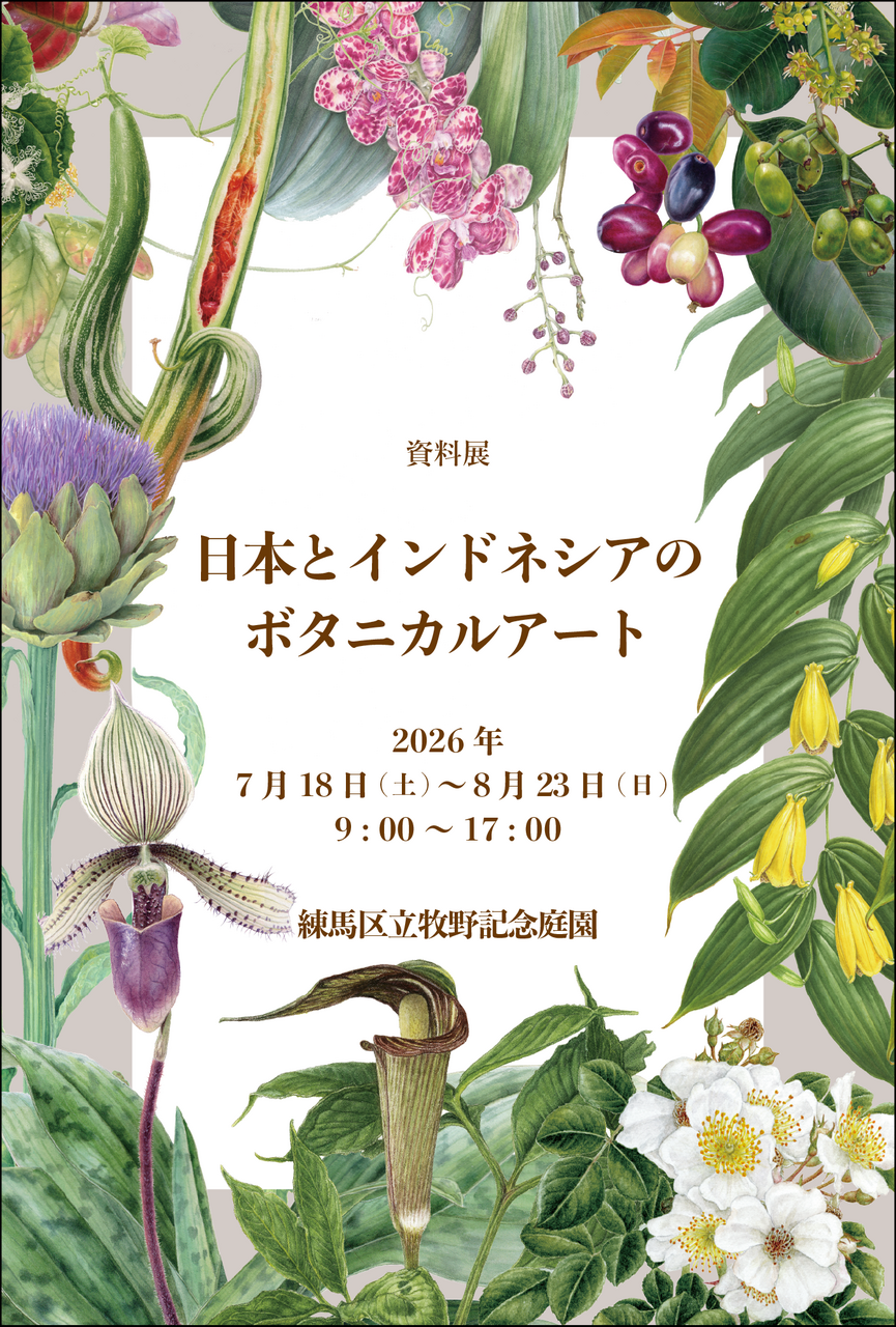 日本植物画倶楽部 展覧会案内