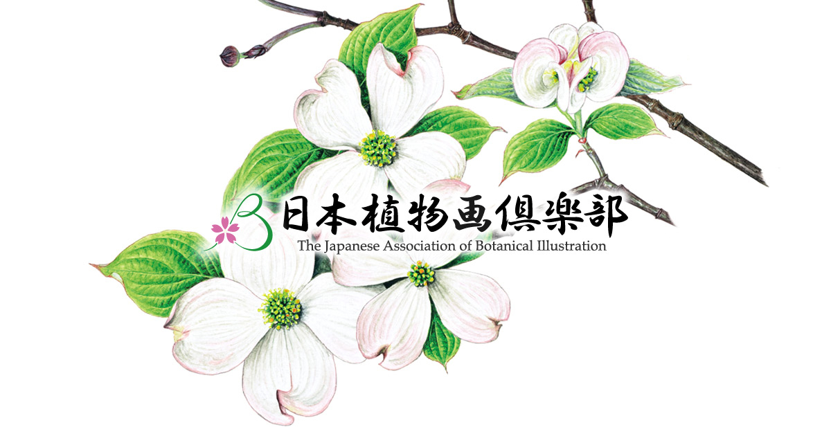 入会案内：日本植物画倶楽部