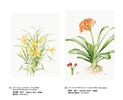 植物23が通販できます植物植物23