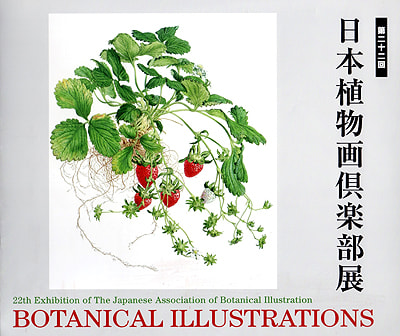 0904 高杉静江 皿の林檎 2001年 日本植物画倶楽部 会員｜絵画