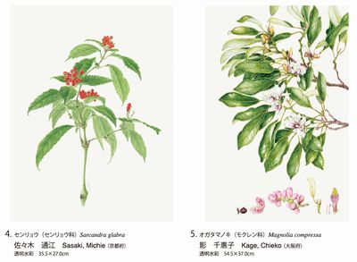 第25回日本植物画倶楽部展 - 出版物：日本植物画倶楽部